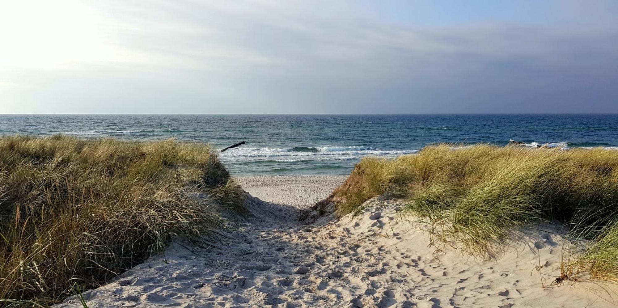 Strandlöper Lägenhet Wustrow  Exteriör bild